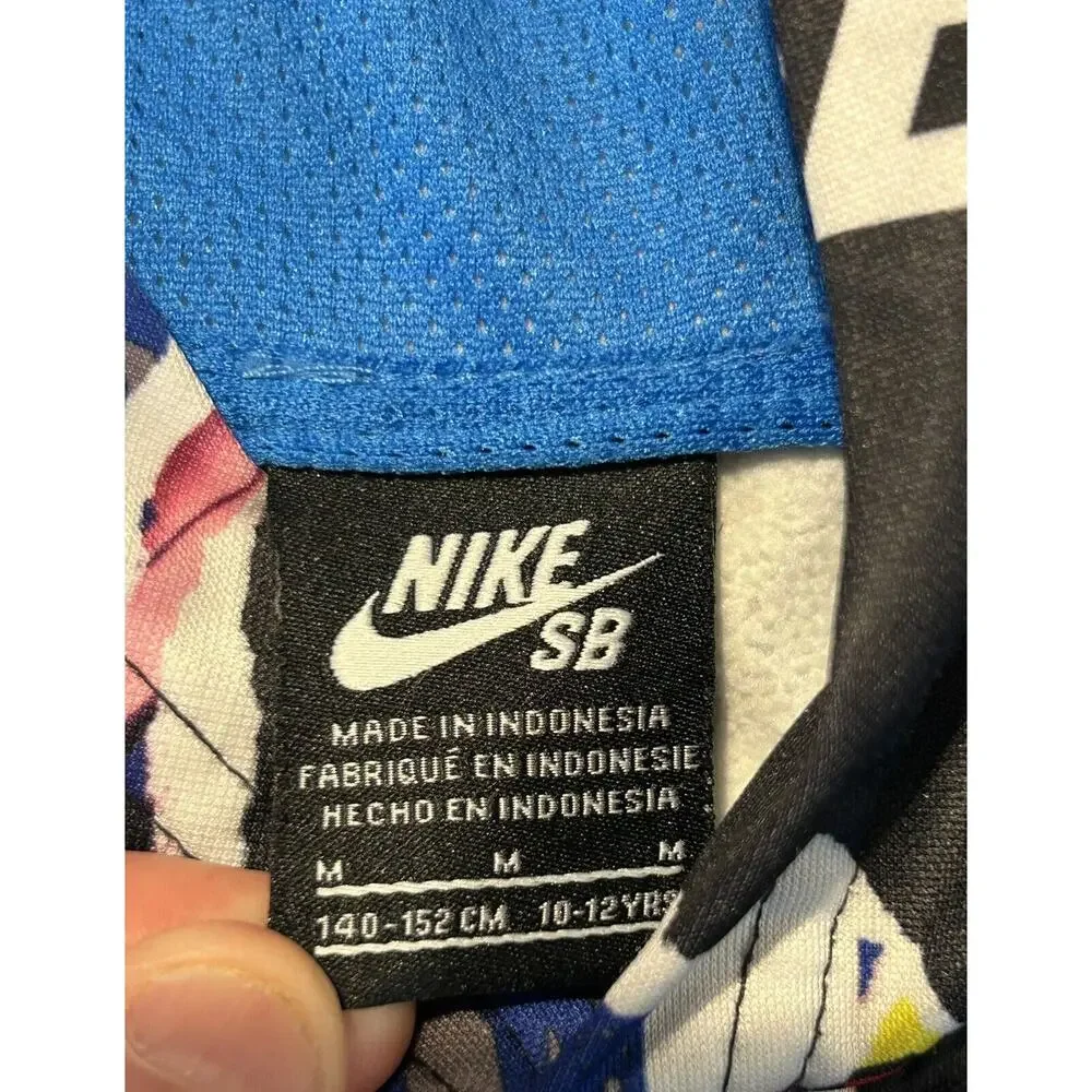 Nike sb hooded